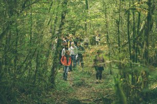 Bosc de Farró (foto: Marina Sáenz de Pablo)