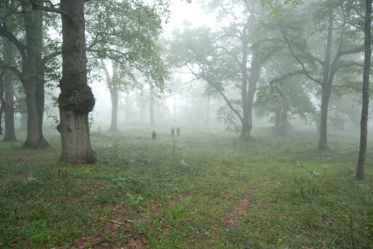 "Reaparició" - Anna Dot