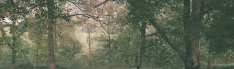 Reaparicions - Anna Dot (foto: Marina Sáenz)