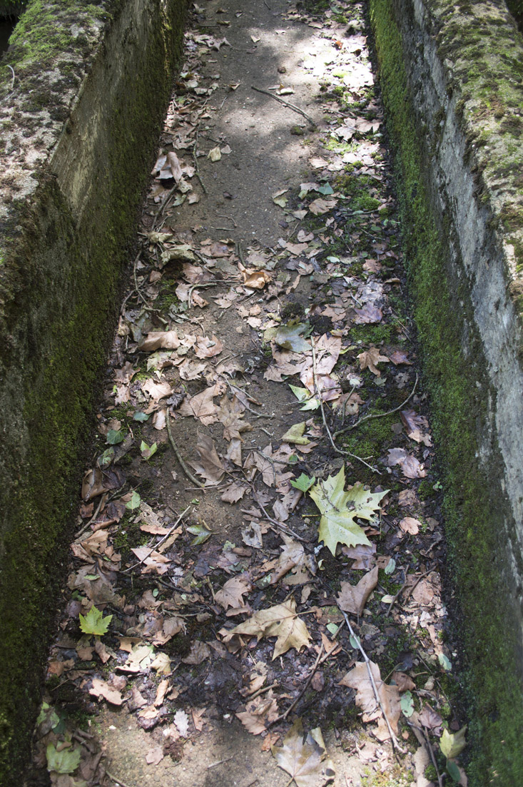 Desrelocalitzant - Azahara Cerezo