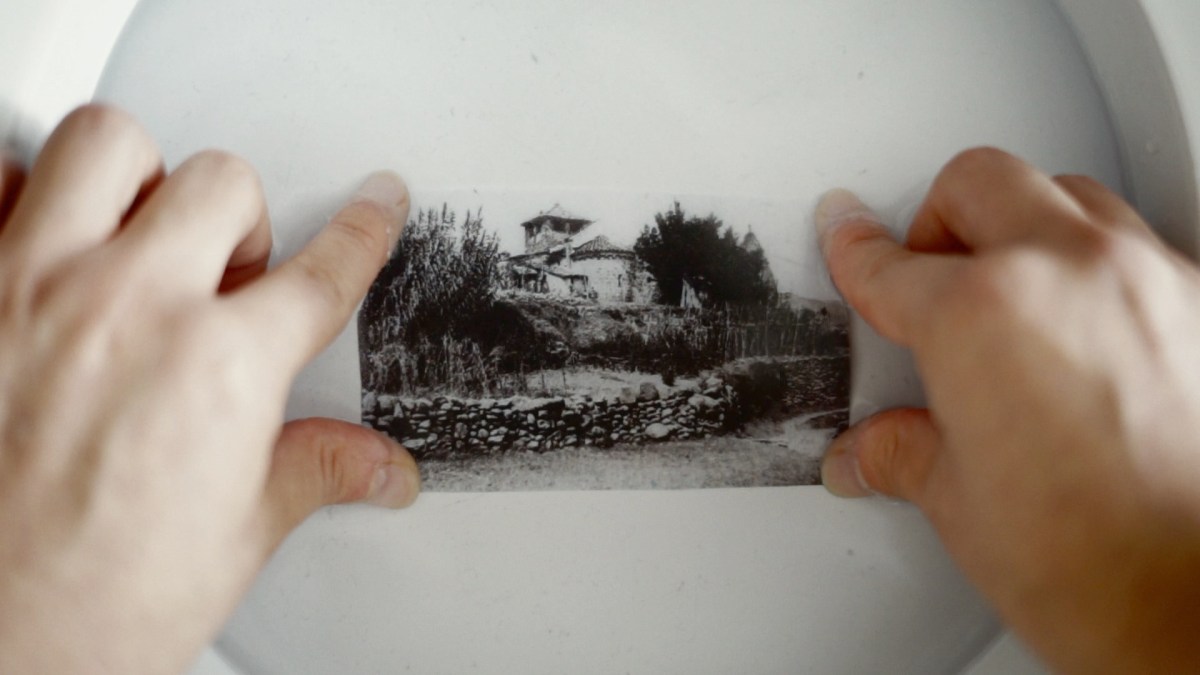 La higiene de la memòria - Olenka Macassi