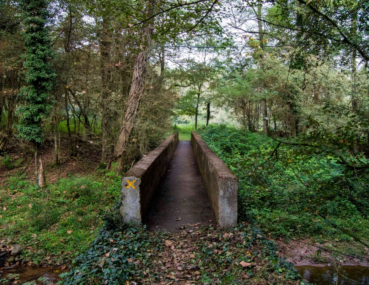 Azahara Cerezo - "Desrelocalitzant" _Bianyal 2018 (foto Andrea Bolcato)