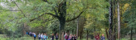 Bianyal 2018 (foto Andrea Bolcato)