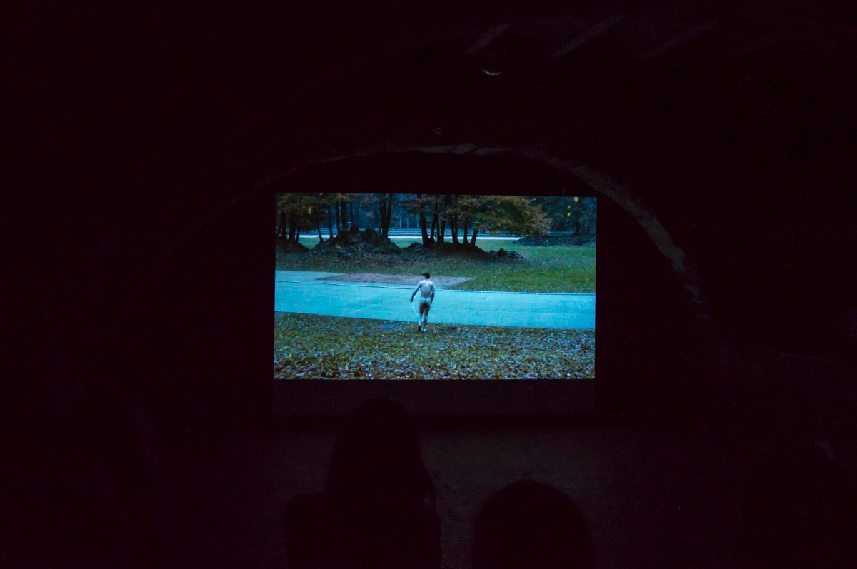 Carles Congost - The wolf's motives_Bianyal 2018 (foto Andrea Bolcato)