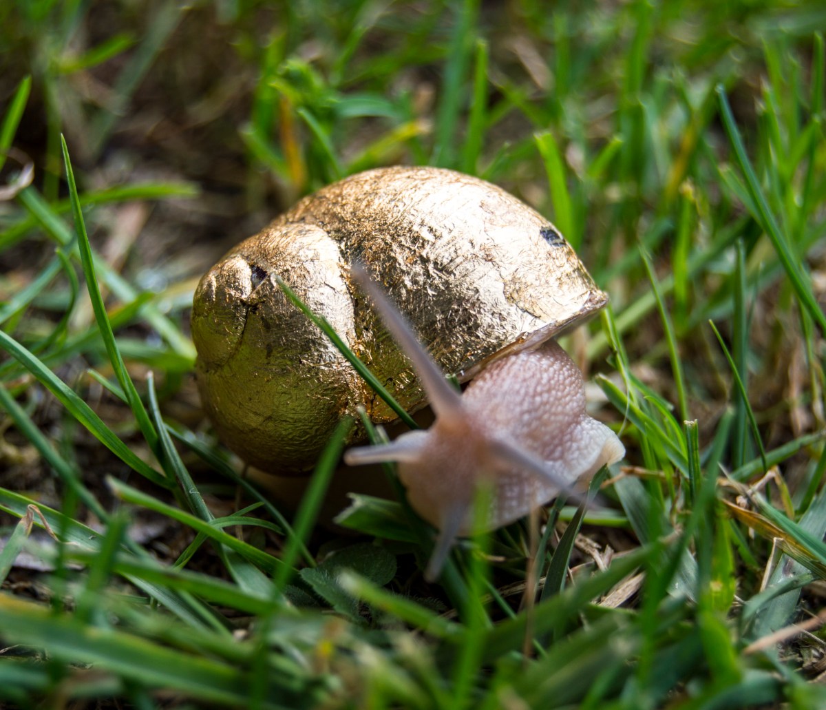 Ruben Verdú - "Deriva 42° 14′ 07″ N"_Bianyal2018 (foto Andrea Bolcato)