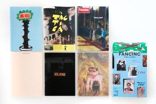 Fancinc_Edicions limitades 2 (foto Roger Serrat-Calvó)