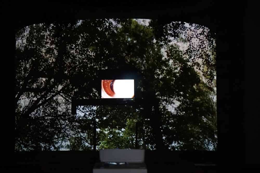 "Transhumar"_Mar Serinyà_Bianyal 2019 (foto: Luís Delgado)