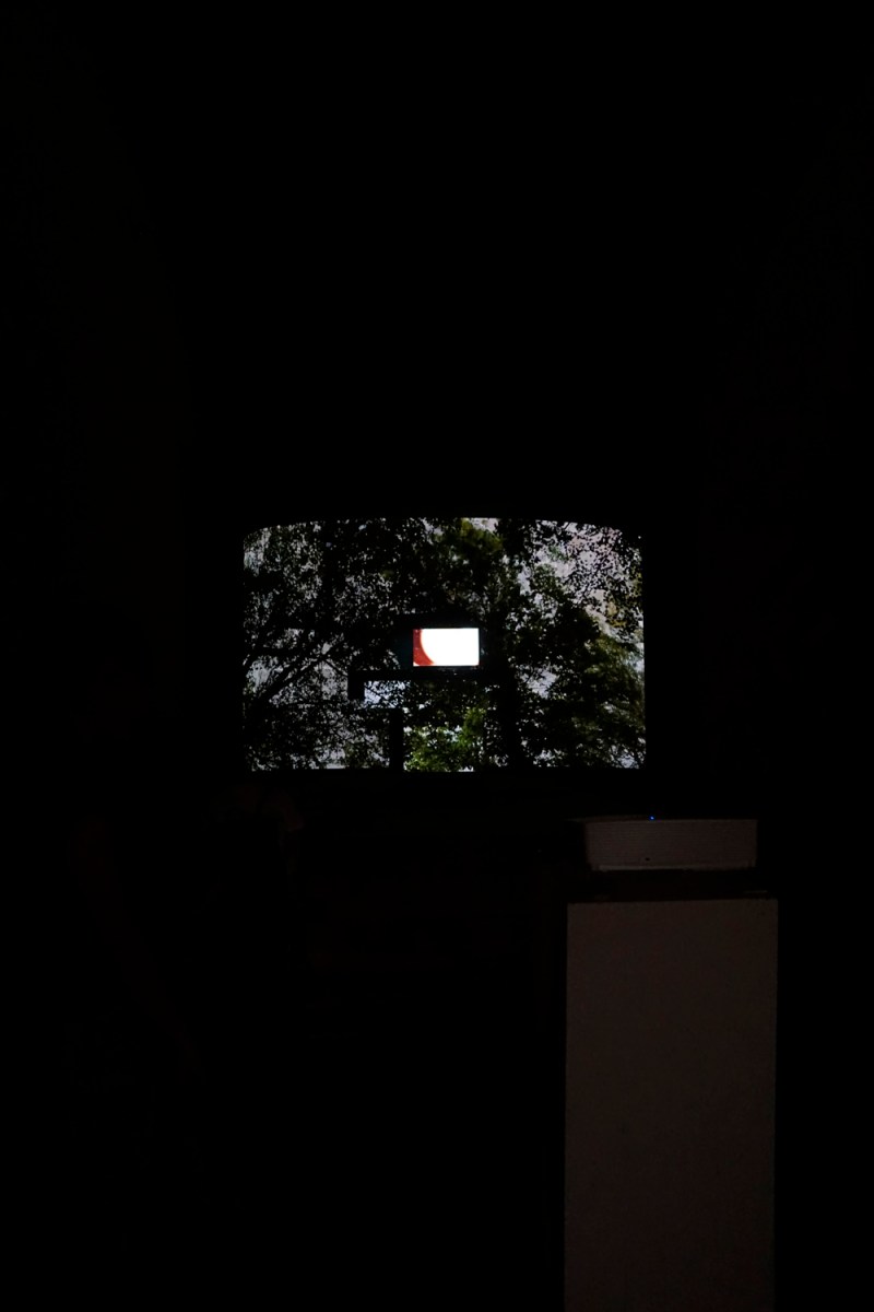 "Transhumar"_Mar Serinyà_Bianyal 2019 (foto: Luís Delgado)