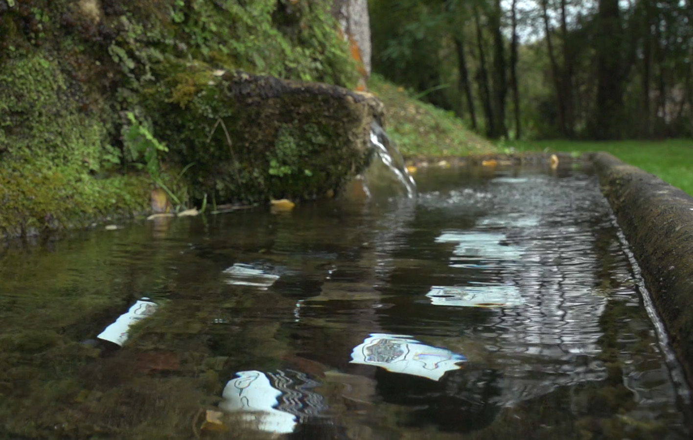 "A raig" Nyamnyam (Iñaki Álvarez i Ariadna Rodríguez). Bianyal 2020