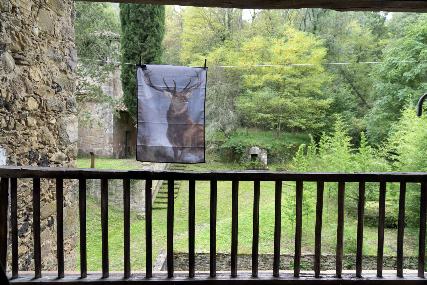 "Monarch of the Glen", Oscar Holloway. Bianyal 2020 (foto: Luís Delgado)