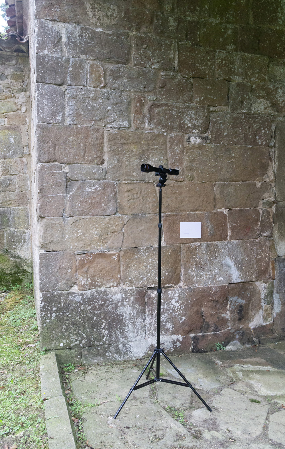 "Monarch of the Glen", Oscar Holloway. Bianyal 2020 (foto: Luís Delgado)