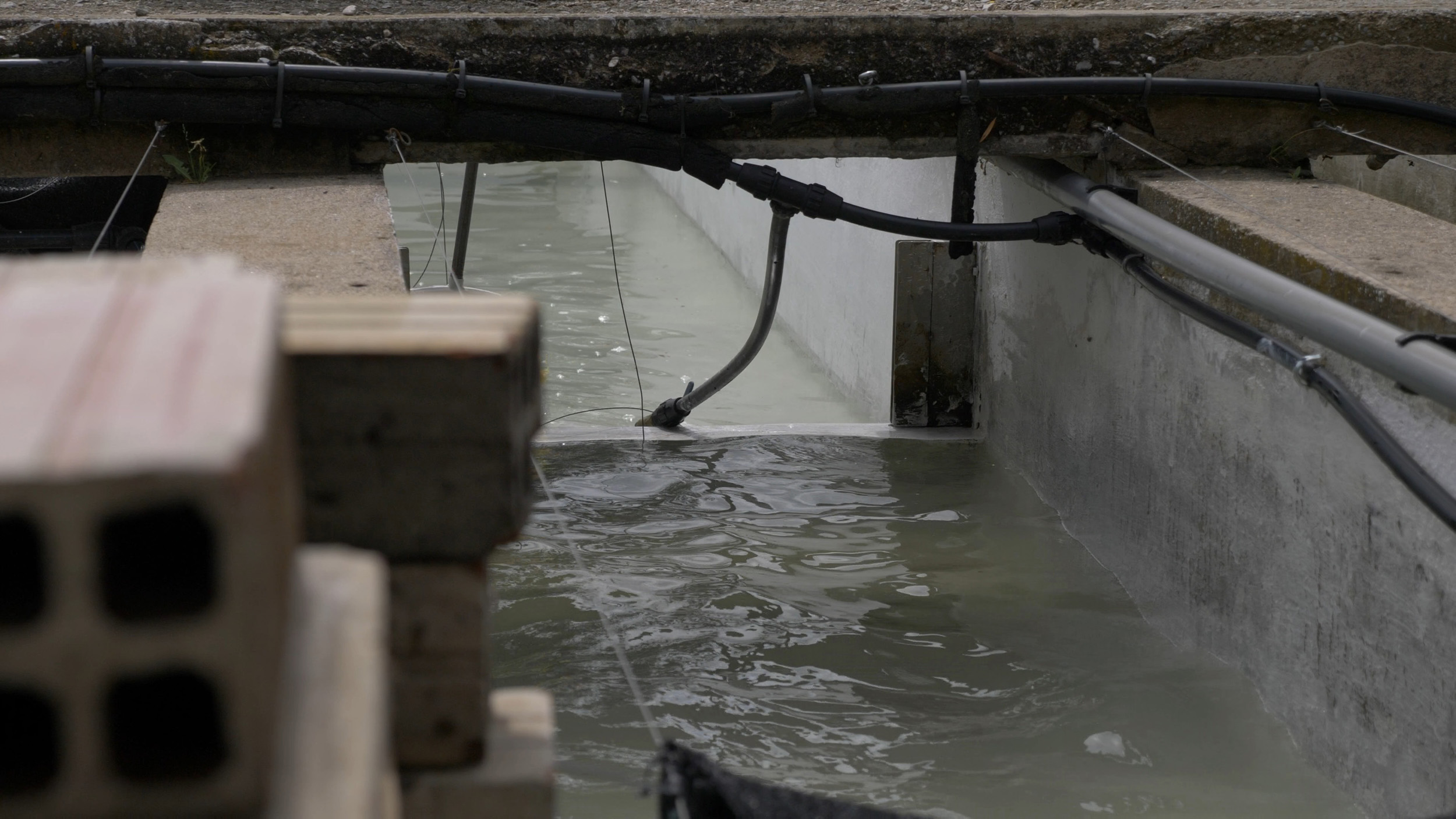 "Sense evidència verbal" Job Ramos