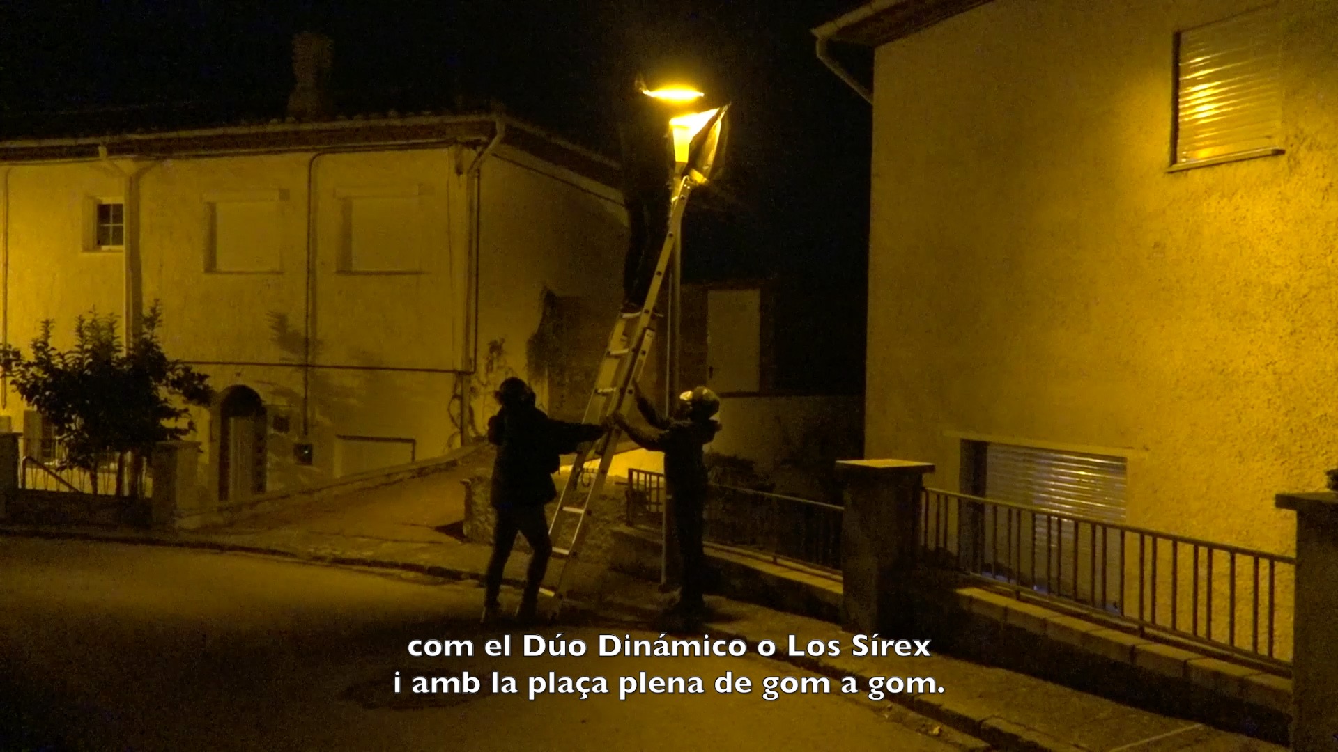 "Una dotzena de flors" Servand Solanilla