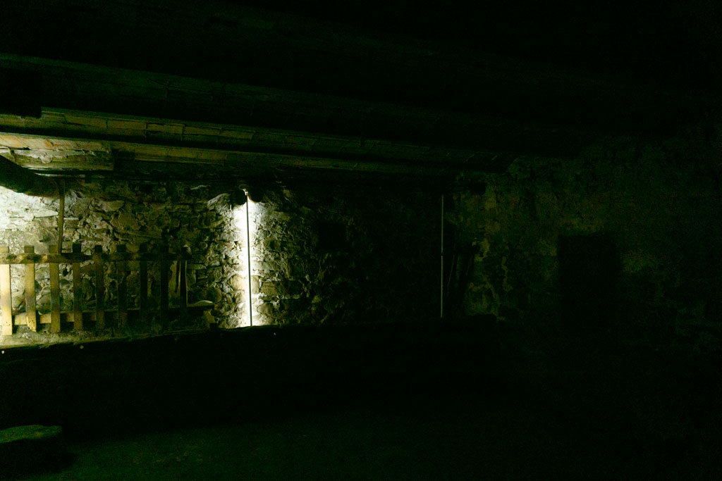 "Budellamp" Manel Quintana (Foto: Luís Delgado)