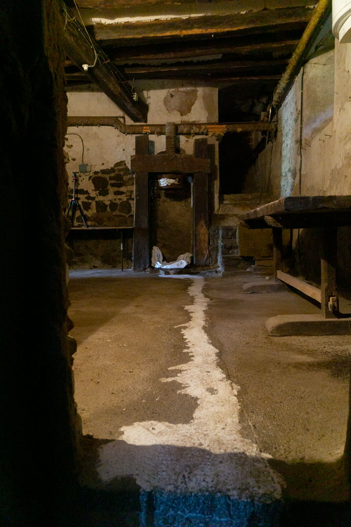 "Pintura en descomposició" Xevi Masmitjà (Foto: Luís Delgado)