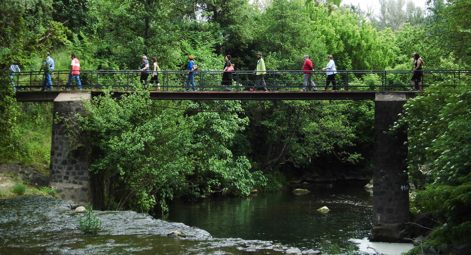 Vista parcial del riu Fluvià al seu pas per la Canya, a la Vall de Bianya