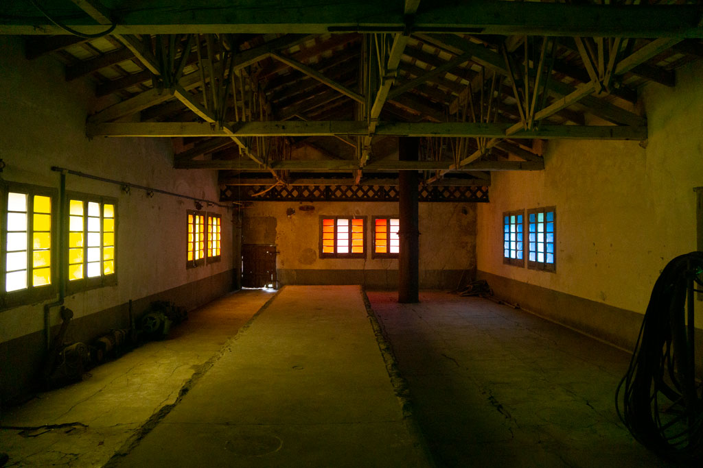 Delight_Manel Quintana (foto: Luís Delgado)