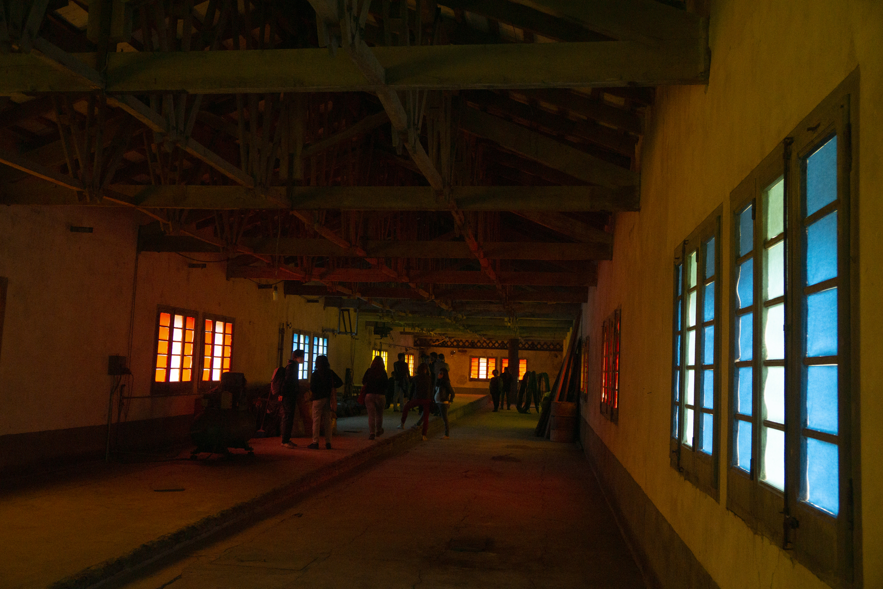 Delight_Manel Quintana (foto: Luís Delgado)